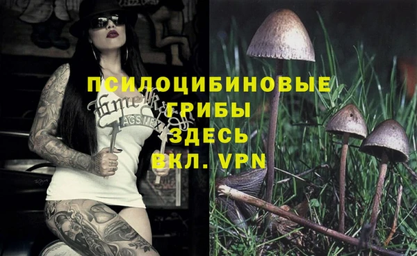 каннабис Бородино
