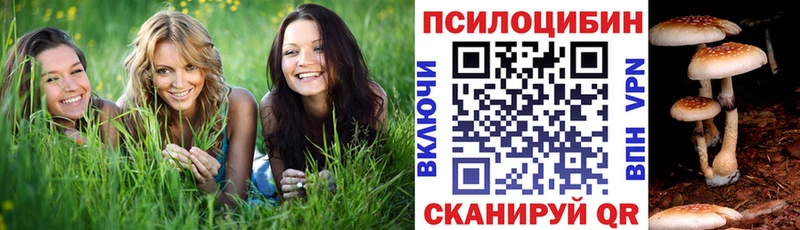 Псилоцибиновые грибы MAGIC MUSHROOMS  купить наркотики сайты  Задонск 